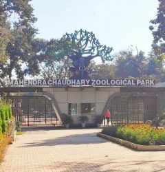 Entry Gate of Chhatbir zoo